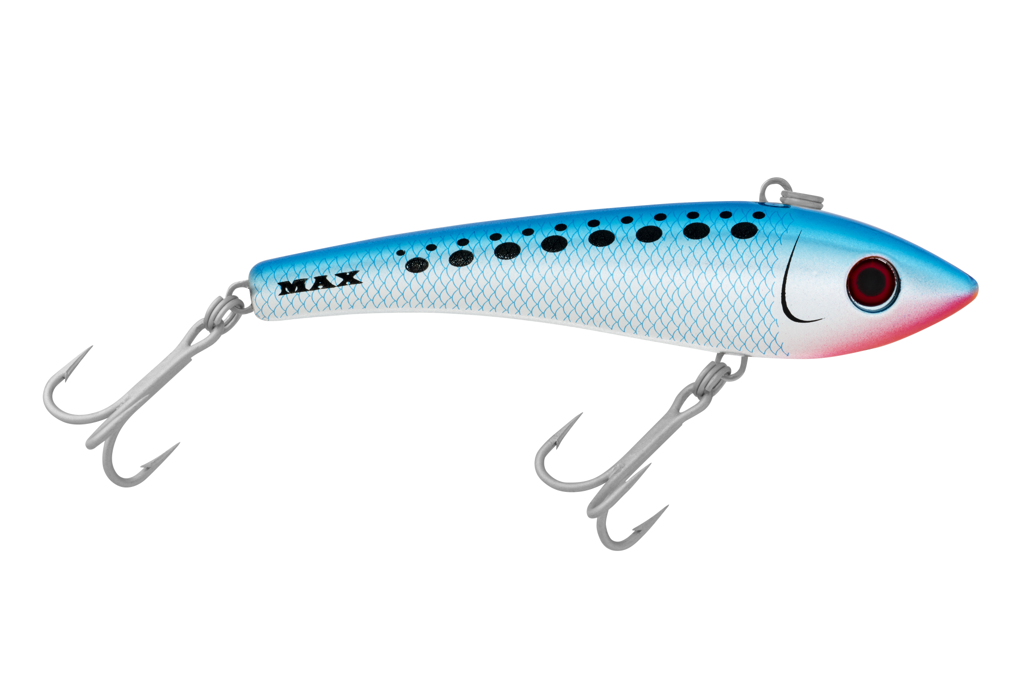 H50 Pilchard