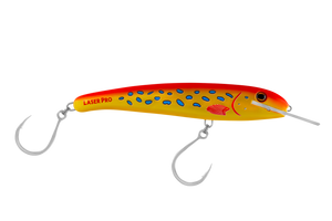 Laser Pro 210